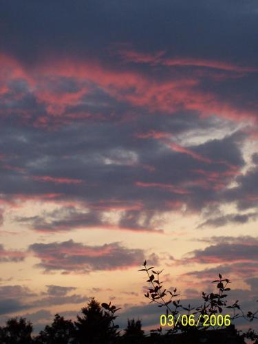 a group of birds flying under a cloudy sky at Lieblingsnest Detmold in Detmold