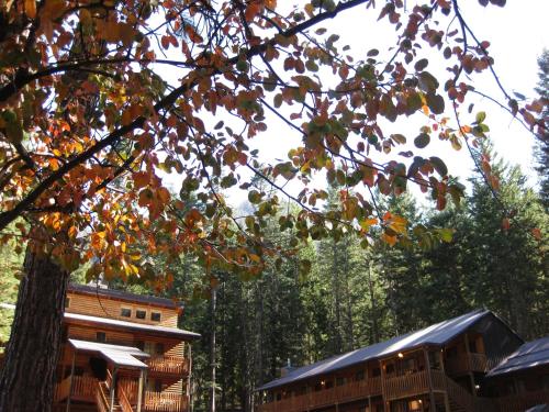 a log cabin in the woods with trees at Eagle Cap Chalets in Joseph