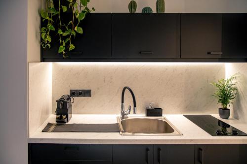 a kitchen counter with a sink and some plants at Triple A - Graffiti Homage in Psirri Square - FREE Parking! in Athens