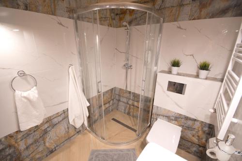 a shower stall in a bathroom with a toilet at Apartamenty Plażowa 11 in Darłówko