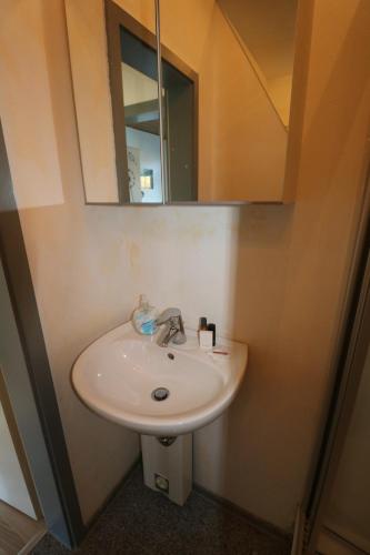 een badkamer met een wastafel en een spiegel bij Apartment 1 in Korschenbroich