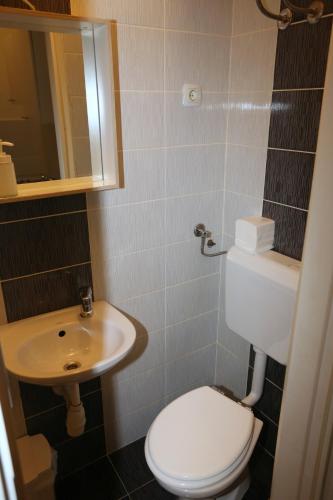 a small bathroom with a toilet and a sink at Apartments Rooms FONTANE TRNJE - FREE PARKING in Zagreb