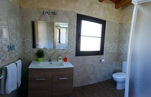 比利亞維西奧薩的住宿－Apartamentos Vega Rodiles el campu，一间带水槽、卫生间和镜子的浴室