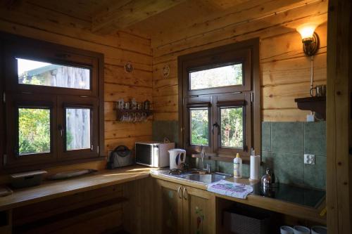 a kitchen with a sink and two windows in a log cabin at Sosnowy domek w rezerwacie nad Narwią in Bokiny