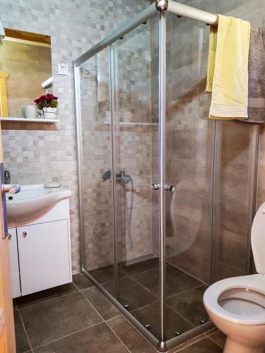 a shower stall in a bathroom with a toilet at Holiday Home Milica in Kolašin