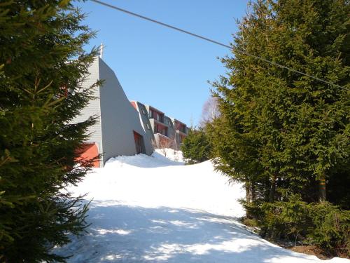 a snow covered street with trees and a building at Apartmány Racek in Ostružná