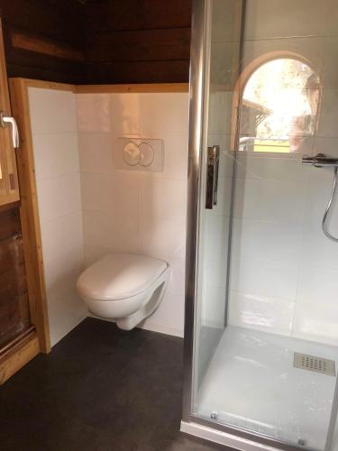 une petite salle de bain avec toilettes et douche dans l'établissement Le Chalet de ma mère Les Confins, à La Clusaz