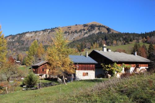 a house on a hill with a mountain in the background at Le Hameau de Chantemerle in Samoëns