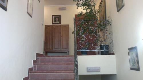Imagen de la galería de Adonis, en Uzhhorod