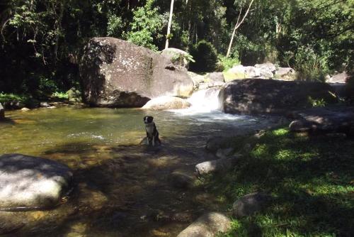 Gallery image of Cabanas da Fazenda in Visconde De Maua