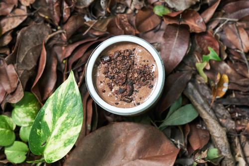 a cup of coffee sitting on a pile of leaves at Hotel Holistika Tulum in Tulum