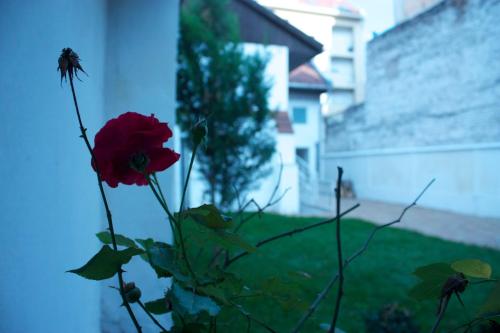 a red rose in a vase next to a building at Garden House in Budapest