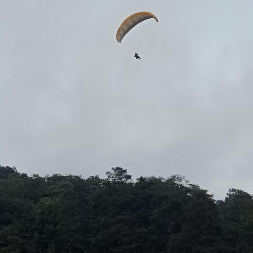 a kite flying in the sky over some trees at Tenam Garden homestay in Kalimpong