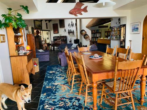 a dog standing in a living room with a table and chairs at Cycads on Sea Guest House in St Francis Bay