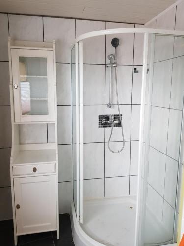 een witte badkamer met een douche en een witte kast bij Apartment nahe Erfurt in Gebesee