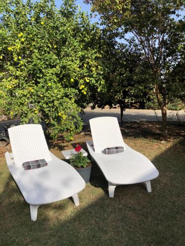 Gallery image of Felina place by Shuli in Ganne Yoẖanan