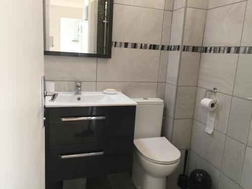 La salle de bains est pourvue de toilettes, d'un lavabo et d'un miroir. dans l'établissement T2 hyper centre bord de Loire Parking, à Nantes