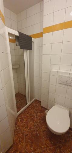 a bathroom with a white toilet and a shower at Pod Vinicí in Mikulov