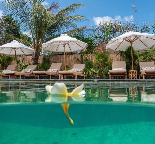 a swimming pool with chairs and umbrellas at The Inn Possible in Uluwatu