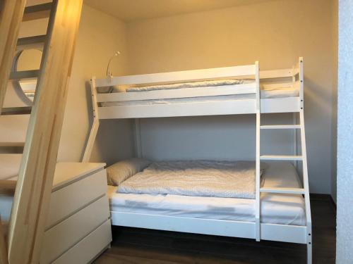 a bunk bed with a ladder next to a bunk room at Ferienhaus Wattkieker in Sehestedt