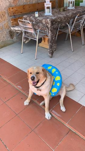 Φωτογραφία από το άλμπουμ του Hotel Olimpia σε Baja Sardinia