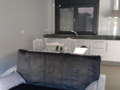 eine Küche mit einer Theke mit einer Spüle und einem Geschirrspüler in der Unterkunft Carballos Altos-Apartamentos Turísticos in Arzúa