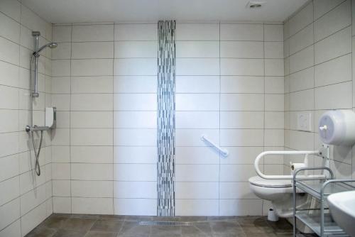 een badkamer met een douche en een toilet bij Gure ametsa in Getaria