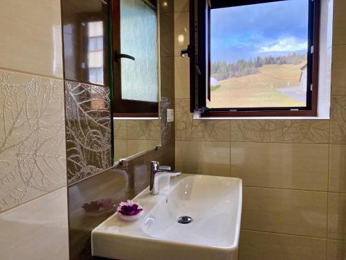 a white sink in a bathroom with a window at Villa Jarka Rent in Ždiar