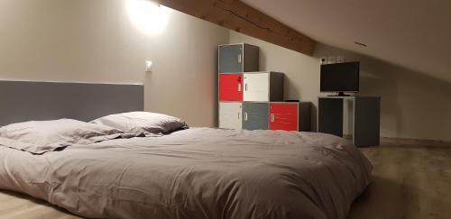 1 dormitorio con 1 cama grande y TV en Grange de caractère en pierre al badiu, en La Llagonne