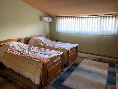 1 dormitorio con 2 camas individuales y ventana en Tirana Apartment B&B en Tirana