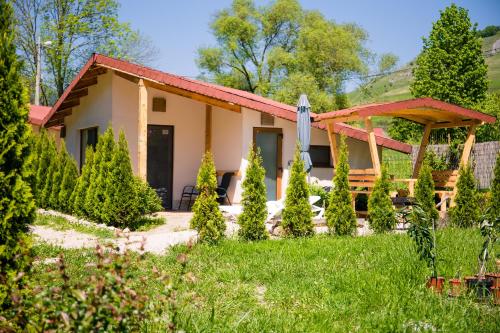 a house with a garden in front of it at Studiouri Valisoara in Vălişoara