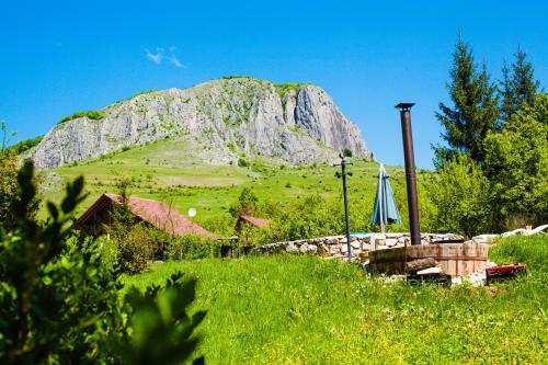 a mountain in the middle of a field with an umbrella at Studiouri Valisoara in Vălişoara