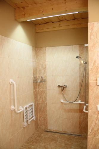 a bathroom with a shower with a glass door at BONI APARTMAN Hegykő in Hegykő