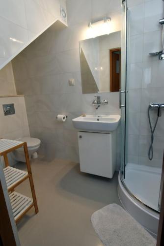 a bathroom with a sink and a shower and a toilet at Paleo Premium in Władysławowo