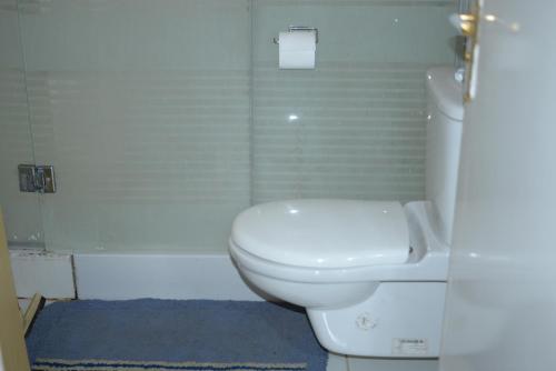 a bathroom with a white toilet and a shower at Spring Hotel Luxor in Luxor