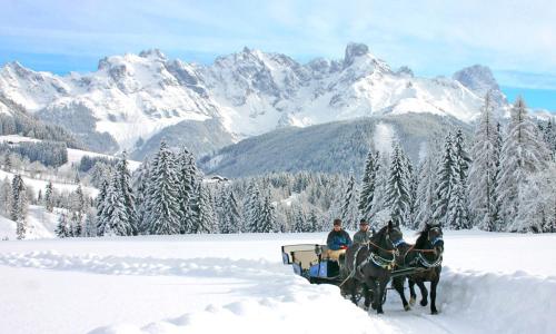 3 Personen reiten in einer Pferdekutsche im Schnee in der Unterkunft Appartements Haus Bergland in Sankt Martin am Tennengebirge