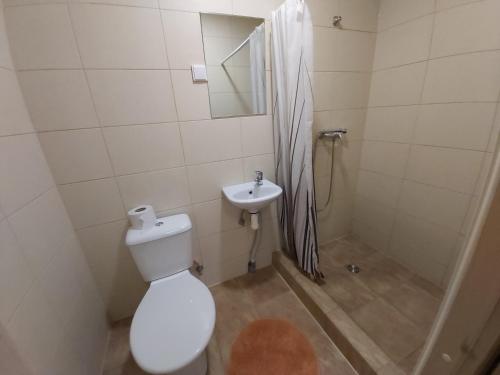 a bathroom with a toilet and a shower and a sink at Viva Nord Hotel in Tallinn