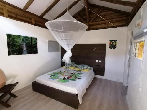 a bedroom with a bed with a net at Le Parc aux Orchidées in Pointe-Noire