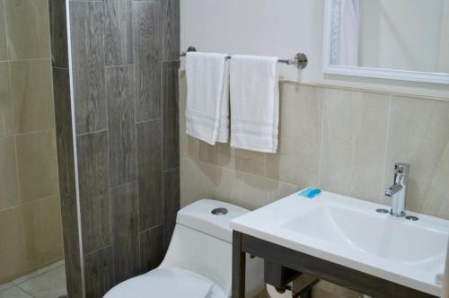 a bathroom with a toilet and a sink at Magnolias Suites Hotel in Nuevo Casas Grandes