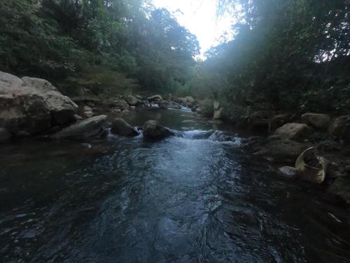 a river in a forest with rocks and trees at Hotel Casas de Campo El Ciruelo in San Gil