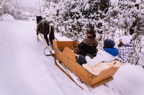 a group of people riding in a horse drawn sleigh in the snow at Pensiunea Ghiocelul in Avrig
