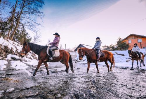 a group of people riding horses in the snow at Pensiunea Ghiocelul in Avrig