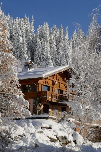 Les Saisies côté Bisanne appartement dans chalet LE Népal ในช่วงฤดูหนาว