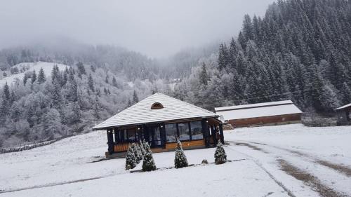 a cabin on a snow covered hill with trees at Casa Obcina Bucovinei in Fundu Moldovei