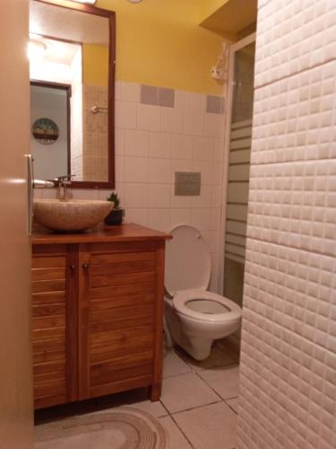 W łazience znajduje się umywalka, toaleta i lustro. w obiekcie Domaine de Belfond w mieście Sainte-Anne