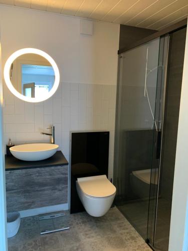 een badkamer met een toilet, een wastafel en een spiegel bij La Maisonnette in Travers