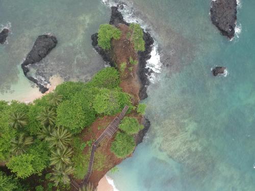 an aerial view of a beach and the ocean at N`Guembú Nature Resort in Porto Alegre