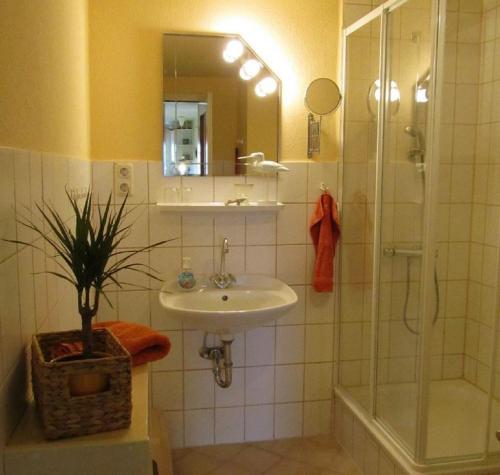 Kúpeľňa v ubytovaní Ferienhof Martens