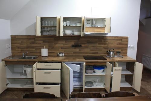 eine Küche mit einer Theke und einem Waschbecken in der Unterkunft Apartmány Areál Zavadilka in Prostřední Bečva
