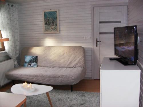 a living room with a couch and a television at Apartamenty Domek Myśliwski in Karpacz